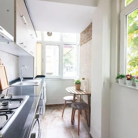 Pretty Corner Flat With Abundant Light In Kadikoy *